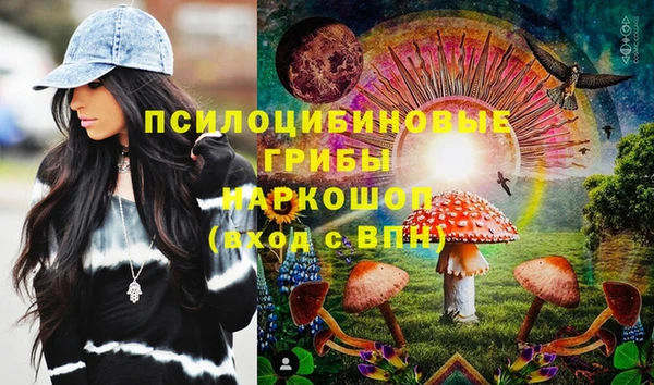 винт Алзамай