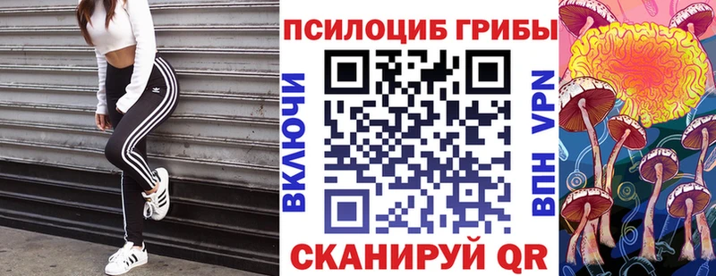 блэк спрут ссылка продажа наркотиков Кохма Псилоцибиновые грибы мухоморы